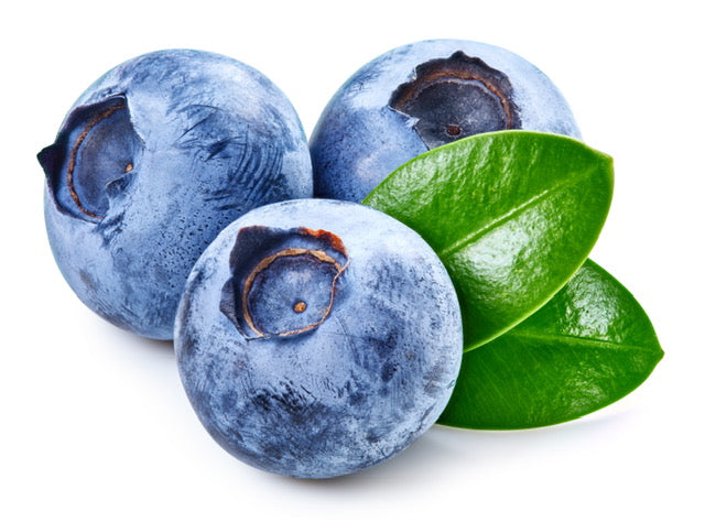 Blaubeere - Blueberry Anti-Aging